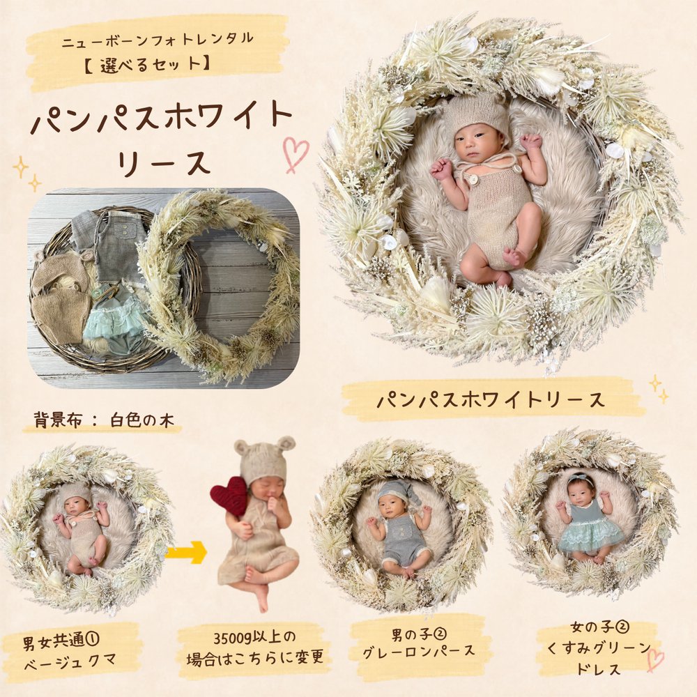 パンパスホワイト