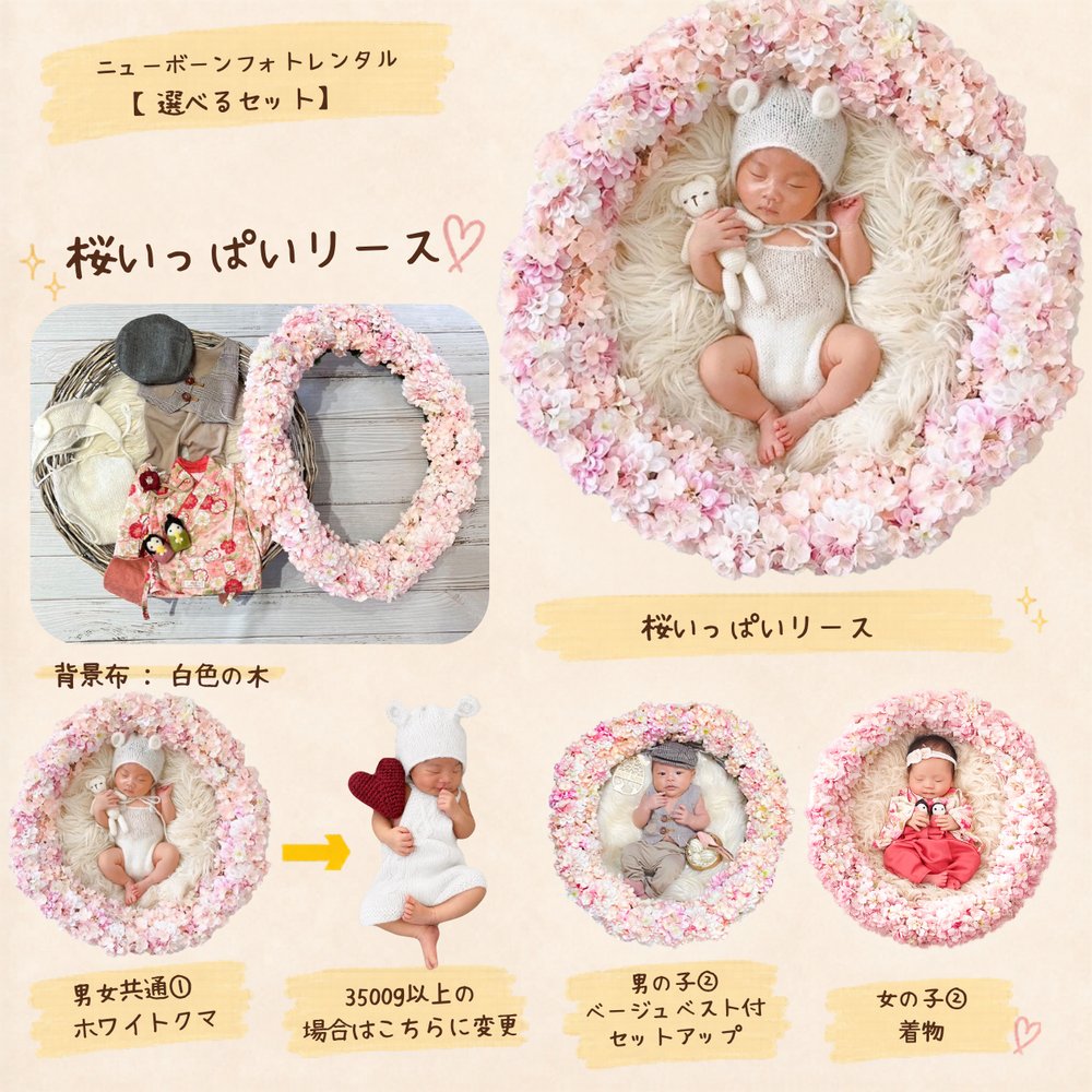桜いっぱい（2〜5月）